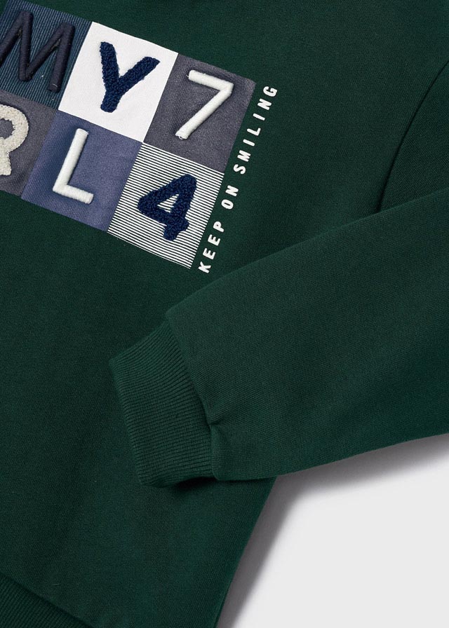 Sudadera bordada para niño sku 4454 Color 11 Jade