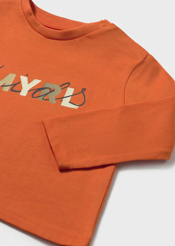Camiseta manga larga basica