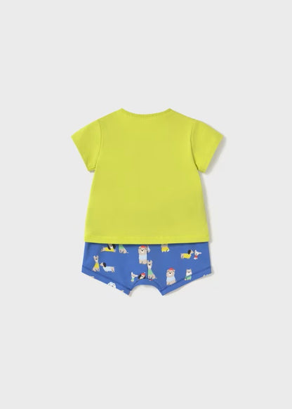 Conj. pantalon corto punto