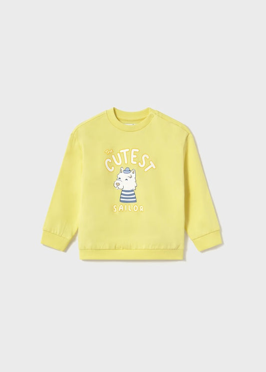 Pullover perro