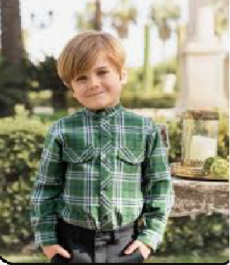 Camisa Cuadros 24/2219/2 Color Verde