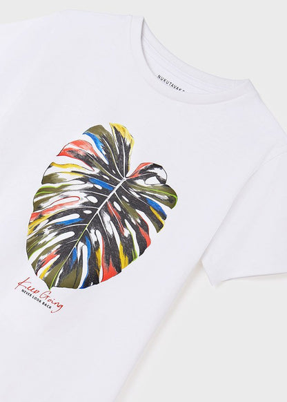 Set 2 Playeras para chico NUKUTAVAKE Ref. 6011/54 Tortuga