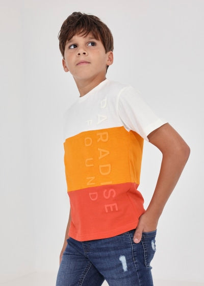 Playera estampada de algodón sostenible para chico Sku  6075 Color Mango