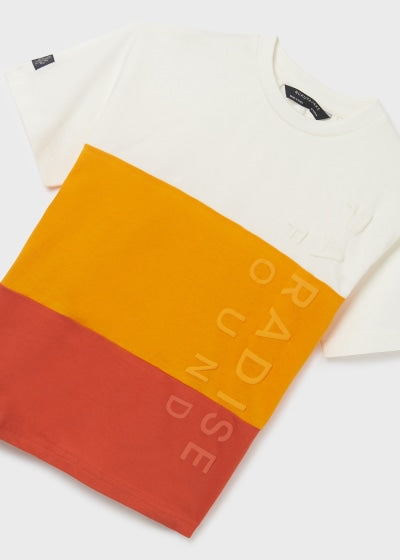 Playera estampada de algodón sostenible para chico Sku  6075 Color Mango