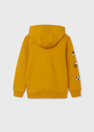Sudadera con capucha y cremallera para chico Sku 6450 Color 40 Curry