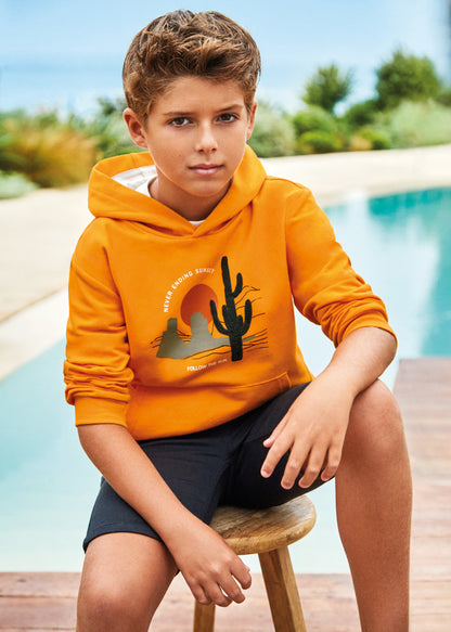 Sudadera con capucha y motivo estampado para chico Art. 23-06441-031 Mango